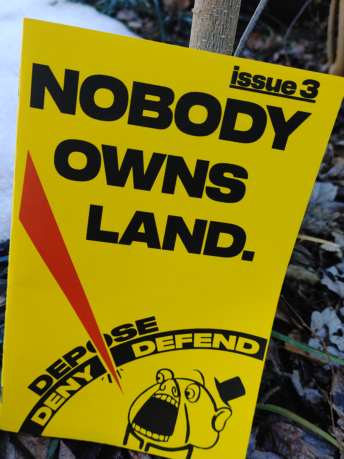 Issue 3 in a snow-covered garden