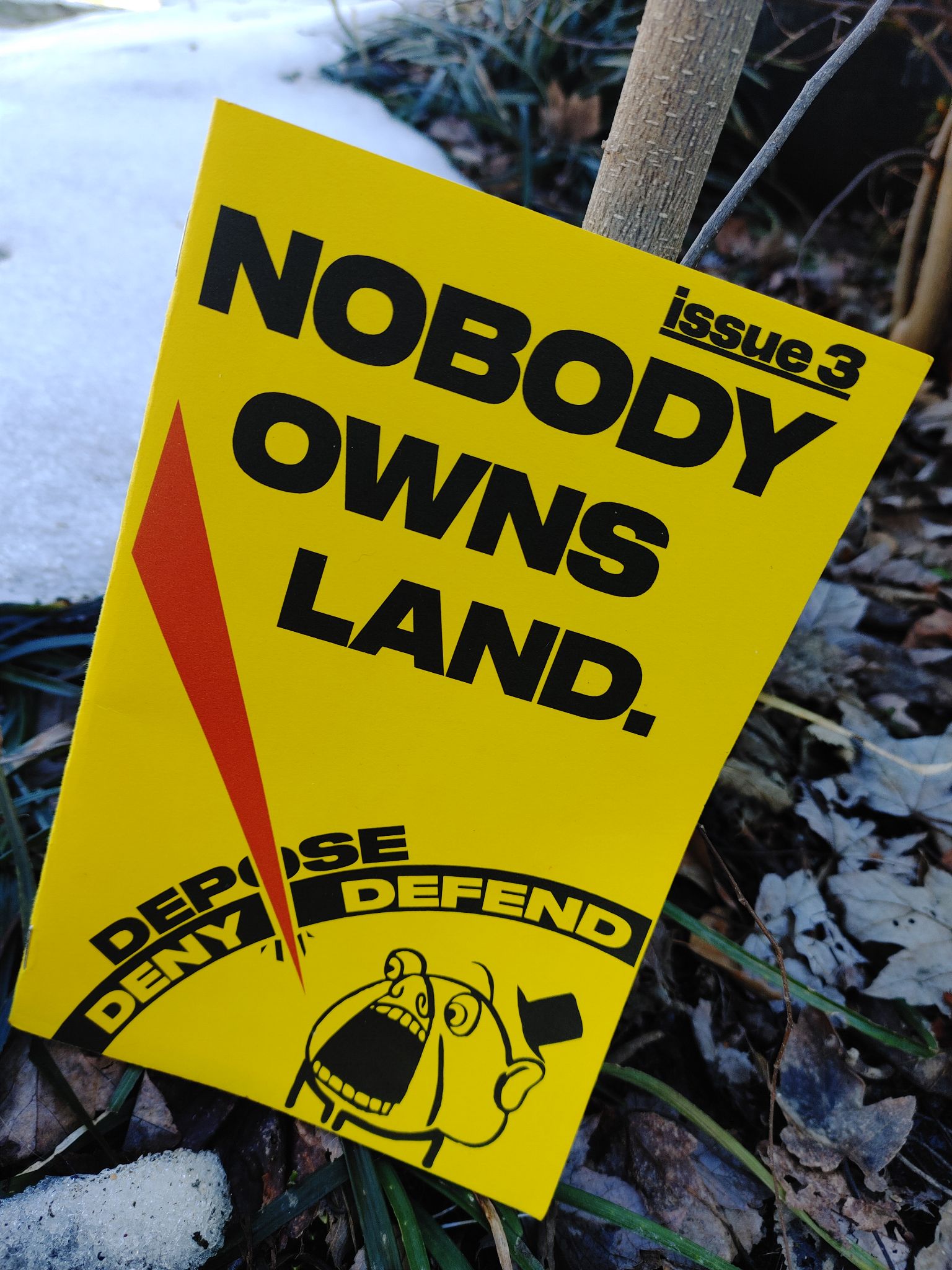Issue 3 in a snow-covered garden
